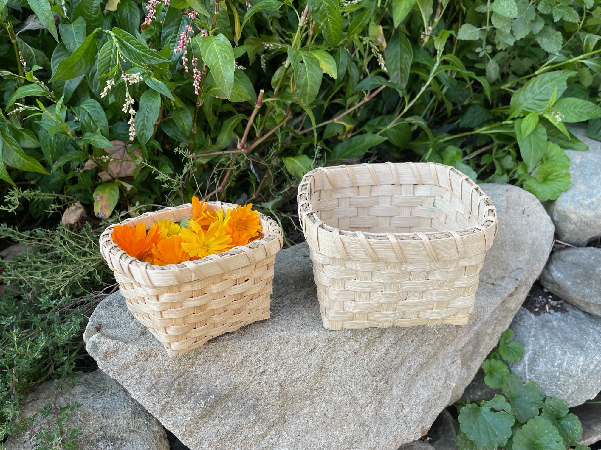 Berry Baskets- March 2025