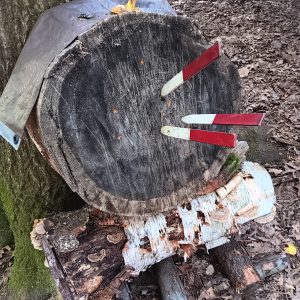 Throwing Knives- October 2025